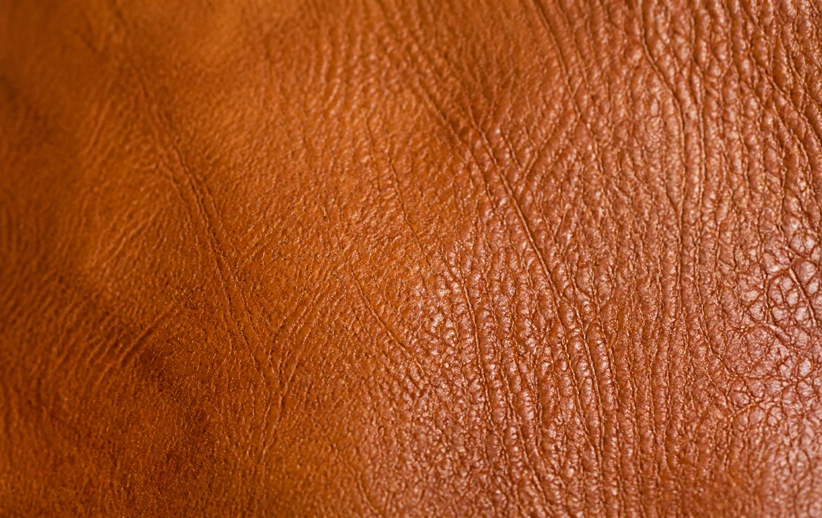 Textura de couro legítimo com costura à mão